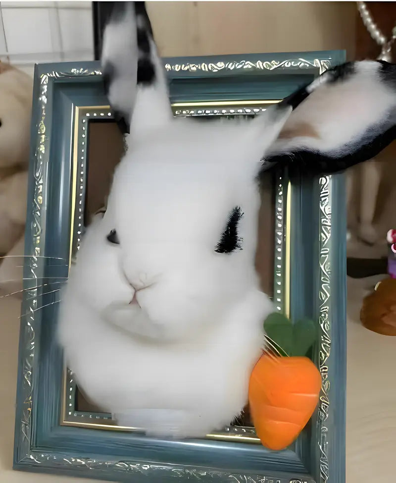 Framed Rabbit Portrait (other type)